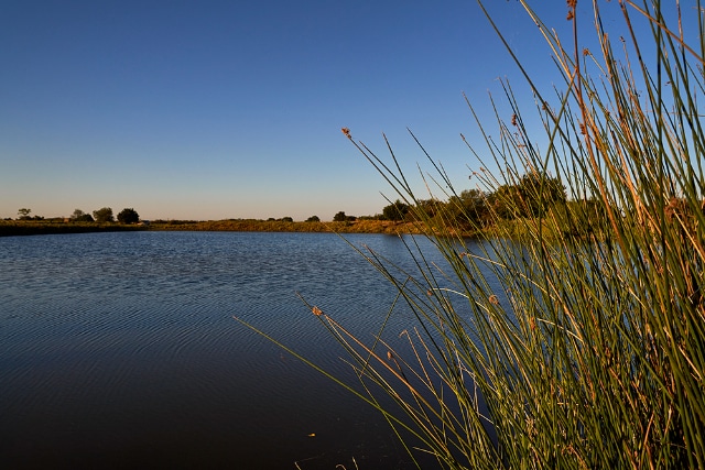 DSP_Belknap_9_2021_0233