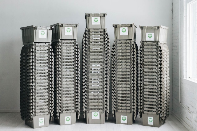 Hancock-family-2-Elephant-Trunk-Moving