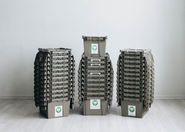 Hancock-family-2-Elephant-Trunk-Moving