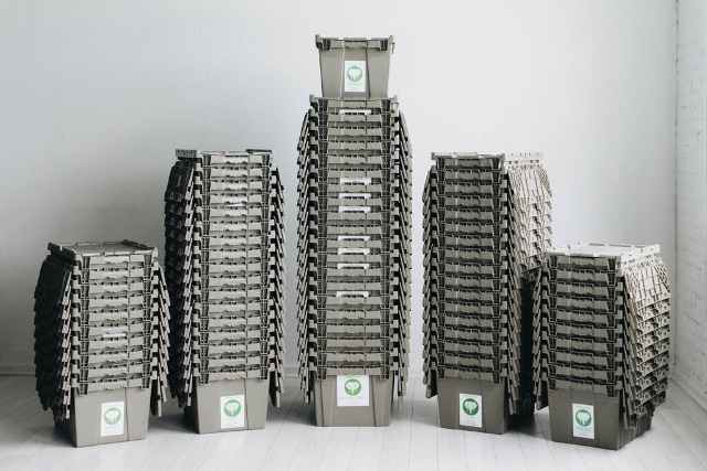 Hancock-family-2-Elephant-Trunk-Moving