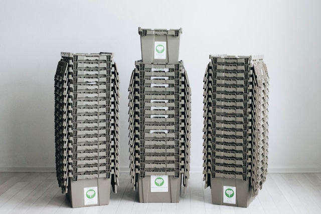 Hancock-family-2-Elephant-Trunk-Moving