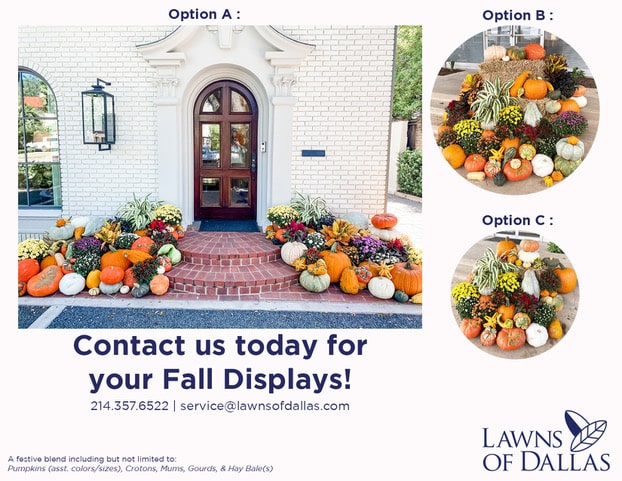 Lawns-of-Dallas-fall-display1
