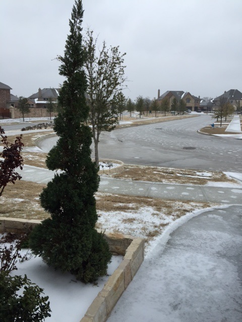 Frisco-ice-3