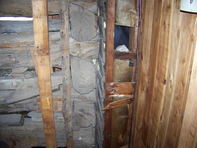 Preservation-Dallas-50-Years-Lead-Collage-1024x768