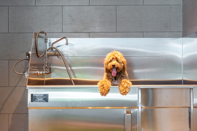 HallArtsResidentParty025