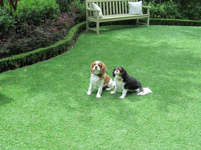 Harold-Leidner-Landscape-Architects-pet-grass