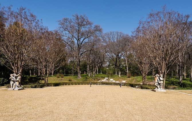 Hicks-Grounds-Rear-Garden-Looking-North1