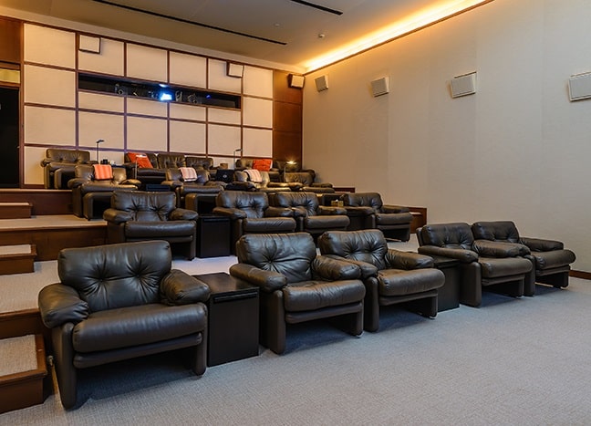 Hicks-media-theater-10000HollowWay250L