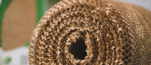 Hancock-family-2-Elephant-Trunk-Moving