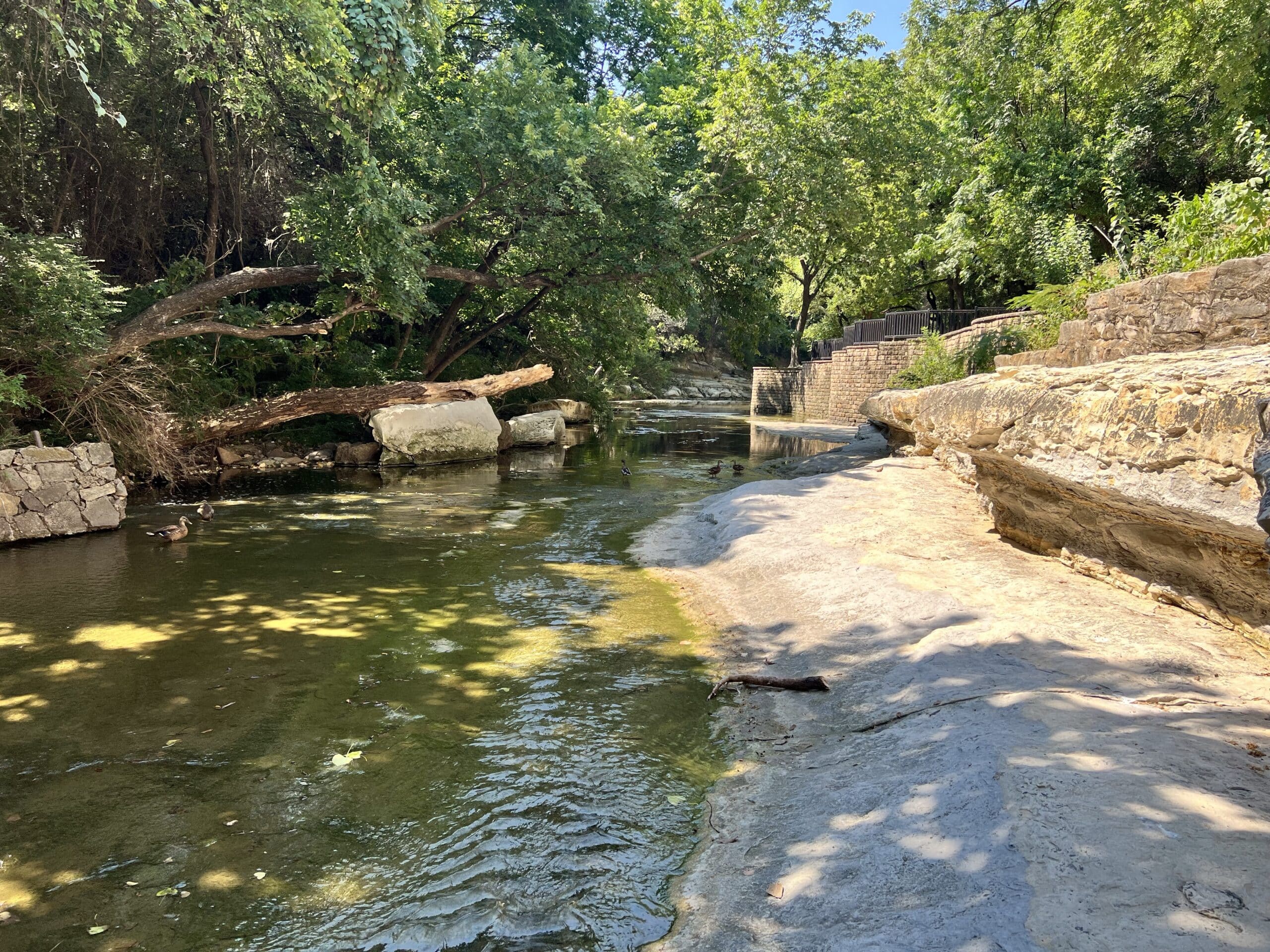 Trueblood-creek-1-1024x683