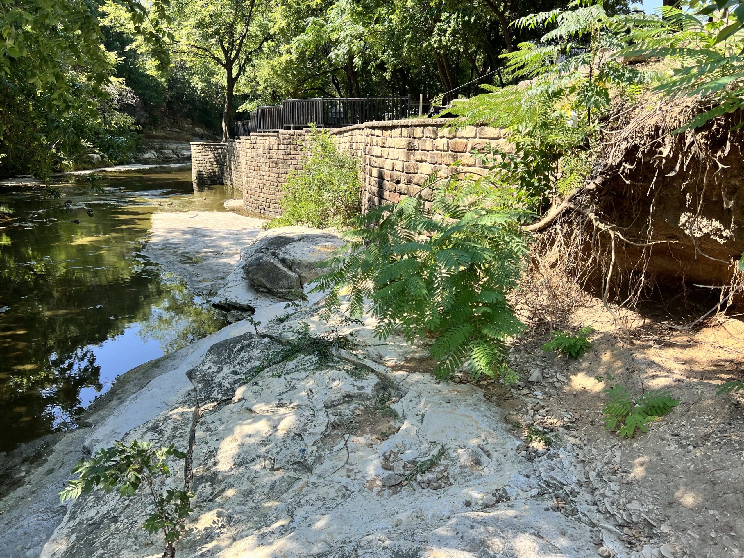 Trueblood-creek-1-1024x683