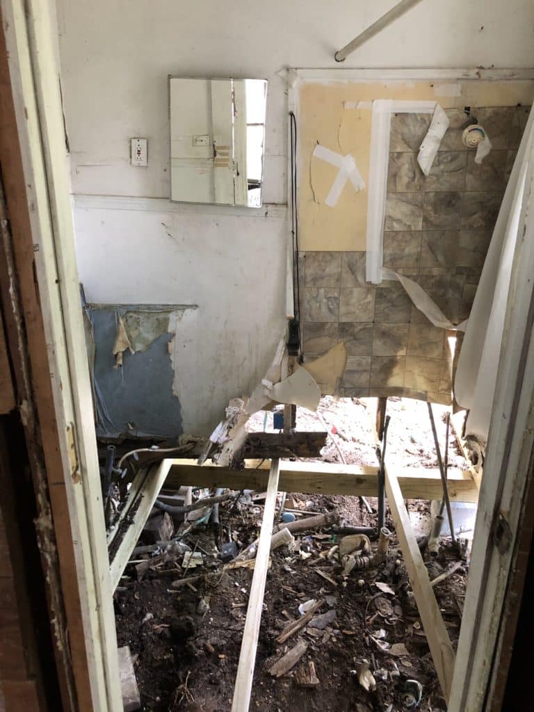 d8dfd0cc9891ebee2d3a979e28861d41l-w996806325od-w1024_h768