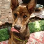 IMG_20160523_104304-150x150