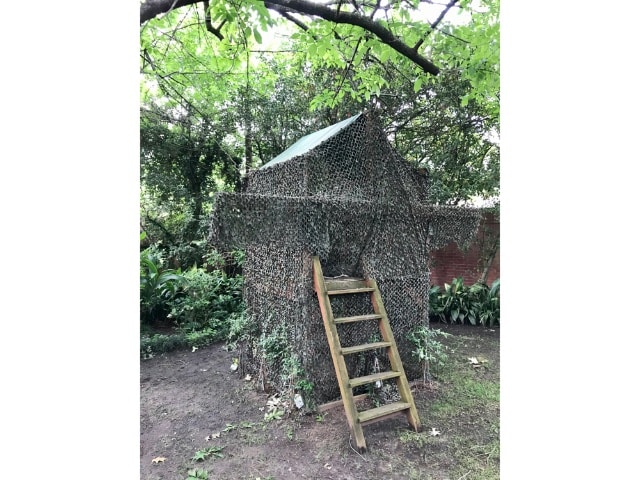 Untitled-design