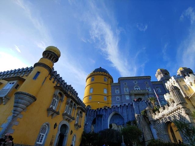 4037-Lively-500-copy