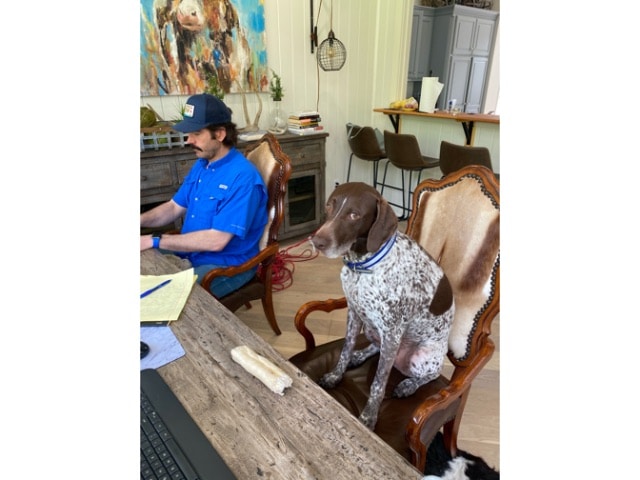 002-1706GreatfieldDrive-Garland-TX-75042-small-Edited