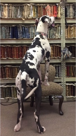 Screen-turbo-Shot-2020-02-12-at-11.15.44-AM