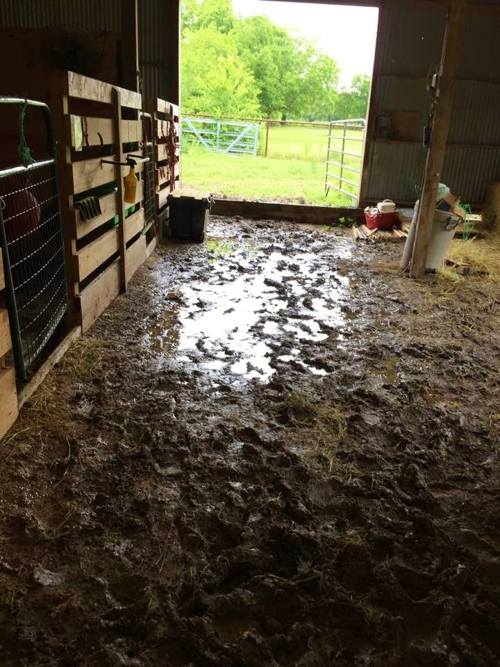 Kellys-barn1