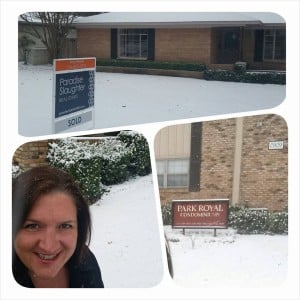 Kerry-Paradise-Snow-300x300