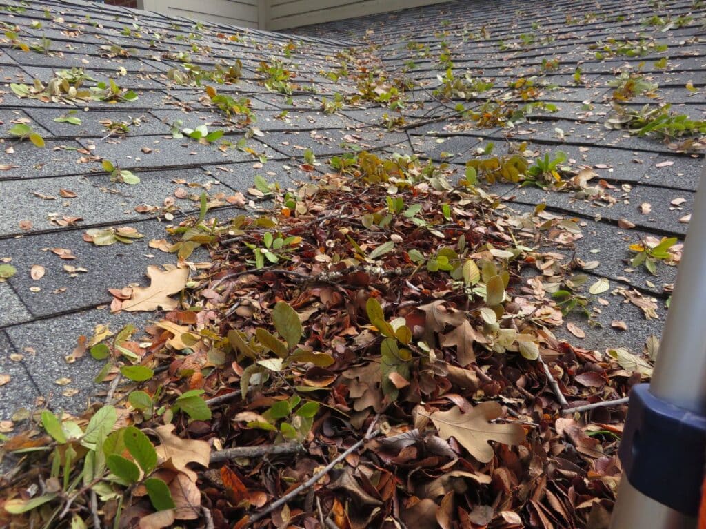 Winter-Weather-Upon-Closer-Inspection