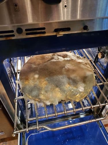 Thanksgiving-Dinner-Park-Cities