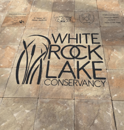 DSC_0092-edit-candysdirt