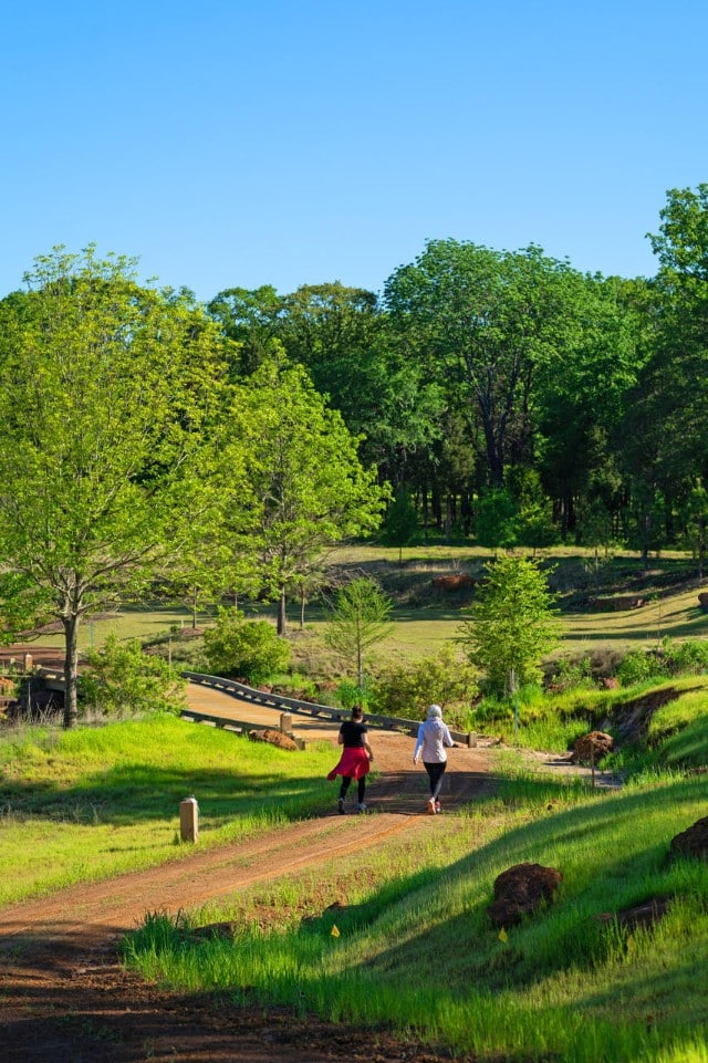 Long-Cove-sunrise-Edited