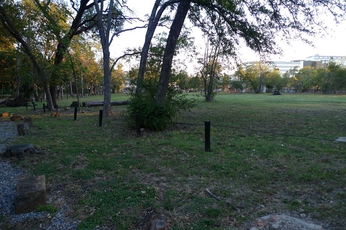 Mark-Cuban-PH-props-5