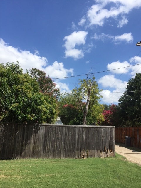 Messed-up-wood-fence