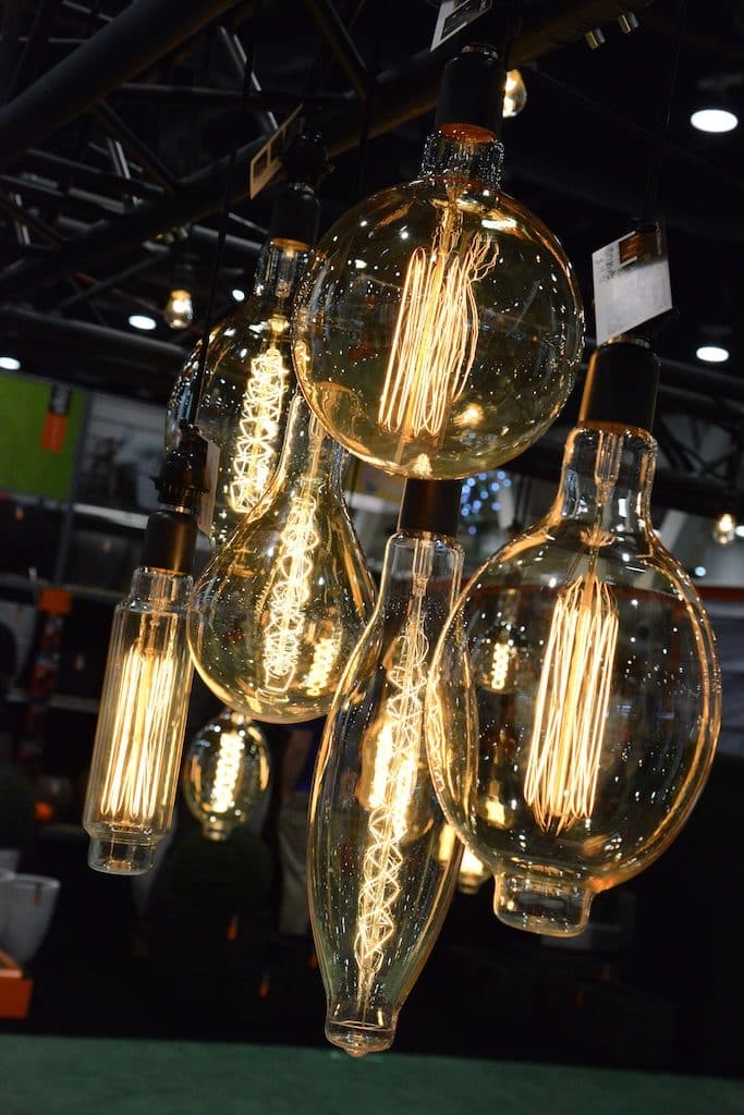 NHS-Outdoor-bulbs-4-683x1024