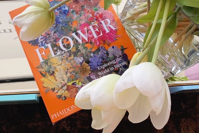 REsized-Lakewood-Succulents-Forever-Florals