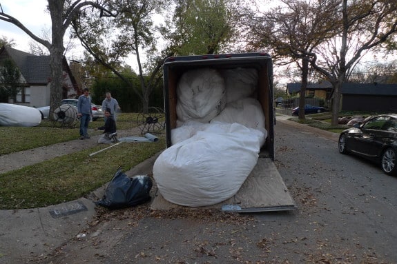 Rats-on-Patricia-11-575x383