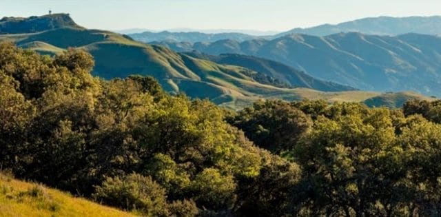 Champ-chanel-closet-1024x768