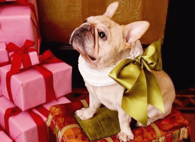 Screen-Shot-2020-12-12-at-10.01.37-PM-2