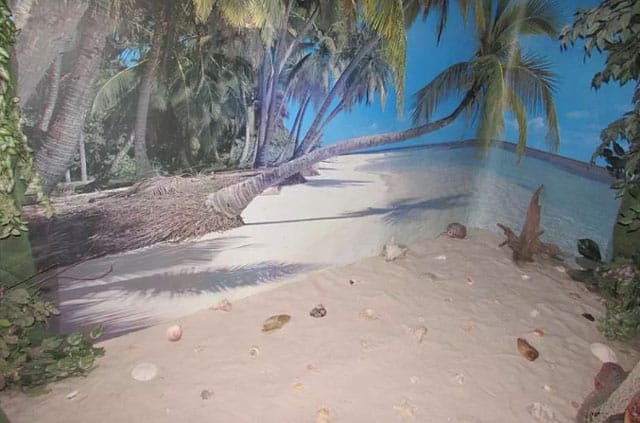 Screenshot-2020-05-19-at-9.33.14-PM-e1589942822122