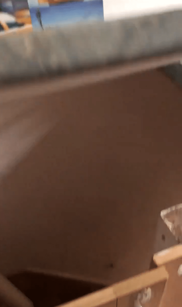 Screenshot-2020-12-15-at-12.46.49-PM