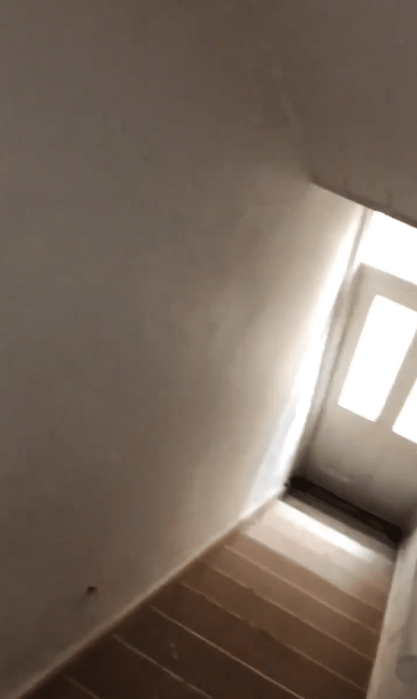 Screenshot-2020-12-15-at-12.46.49-PM