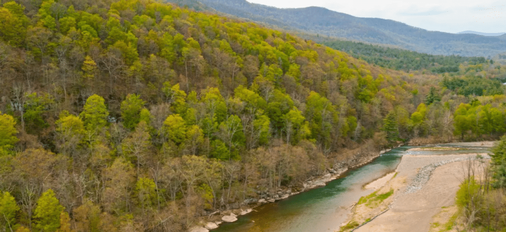 Screenshot-2021-06-08-1.44.09-PM-1024x471