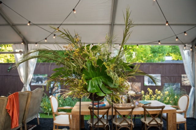 Tent-1-BP1_2276