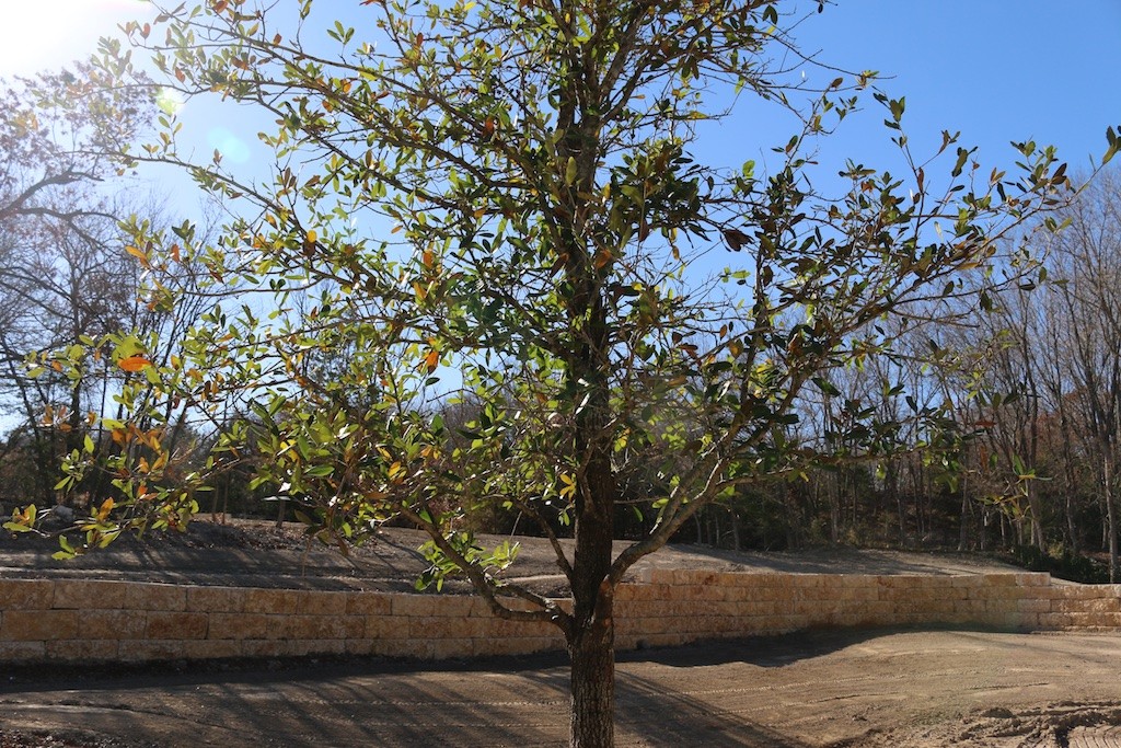 Tim-Jackson-Homes-6-1024x683