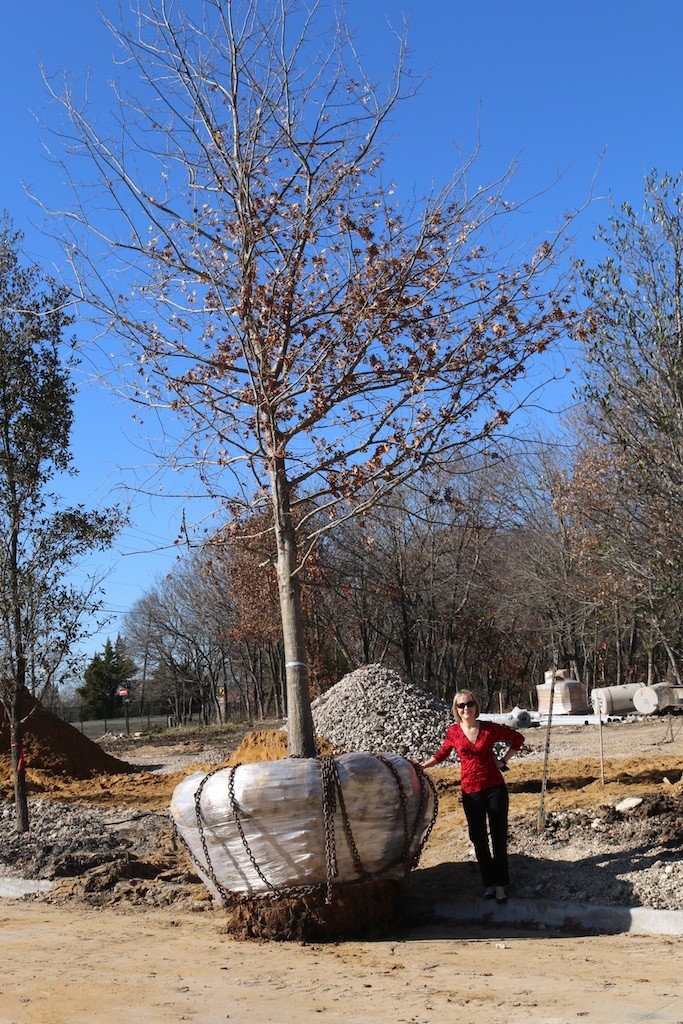 Tim-Jackson-Homes-73-683x1024