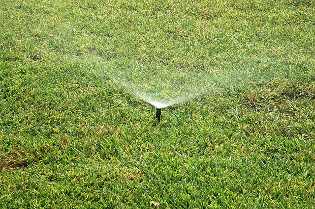 Lawns-of-Dallas5-1