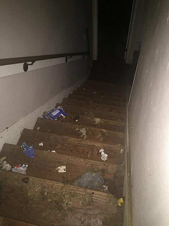 Willow-Wood-staircase-2