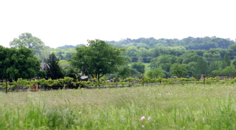 celina-texas-768x424