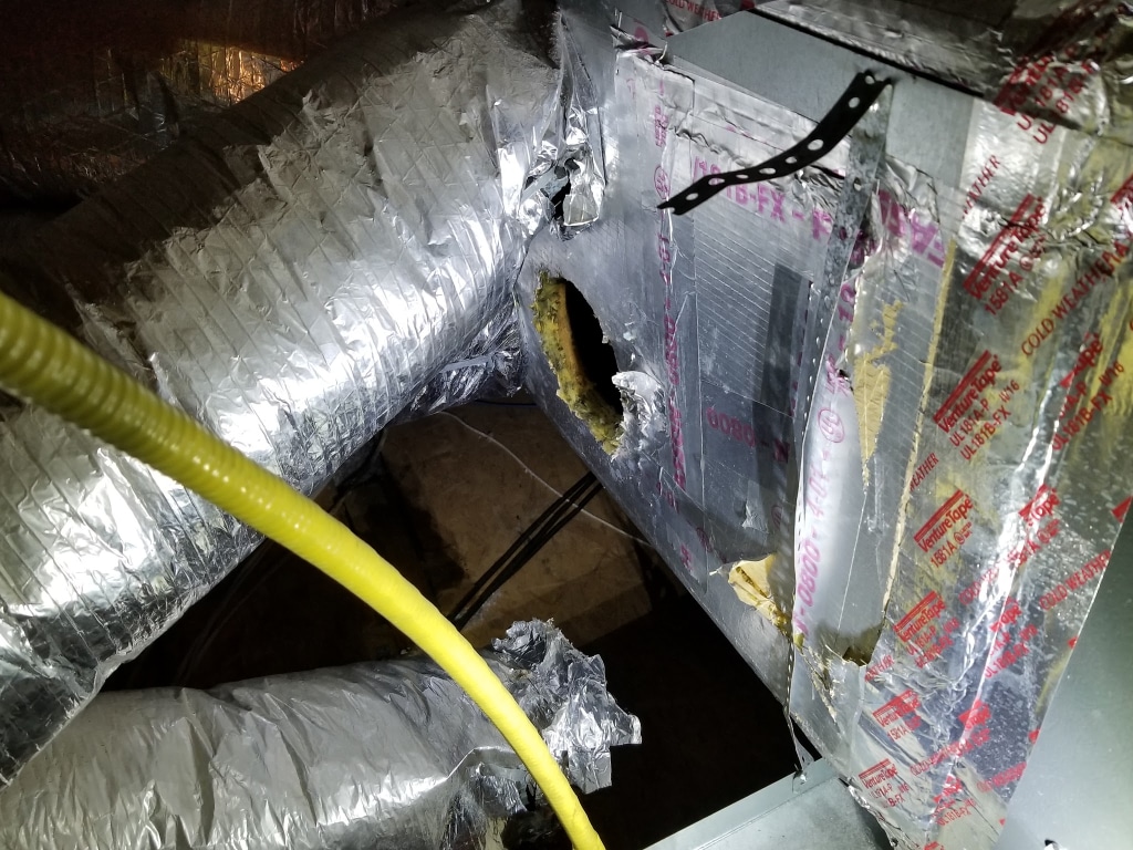 home-inspection-home-inspector-magnifying-glass