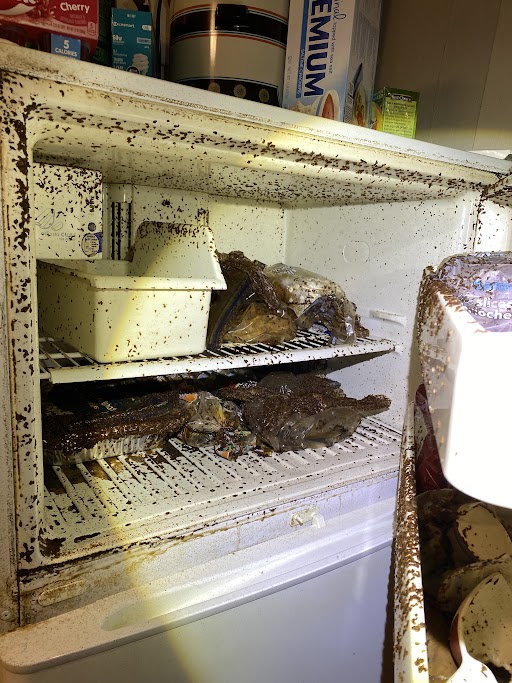 Clayton-Candy-Corn-1024x768