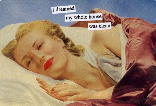 i-dreamed-my-whole-house-was-clean1