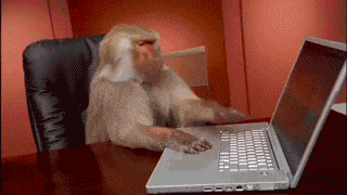 monkey-0