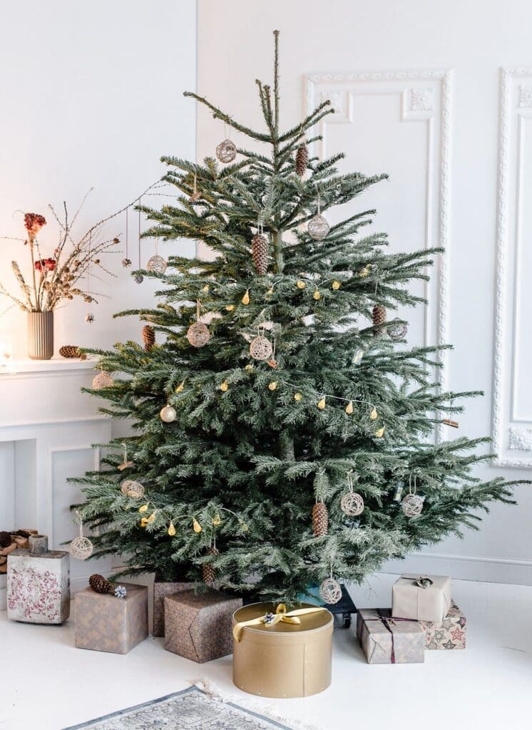 Burkle-Holiday-5-1024x682