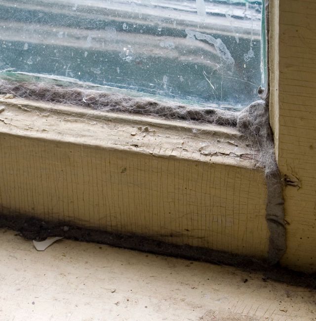 Projects-for-Quarantine